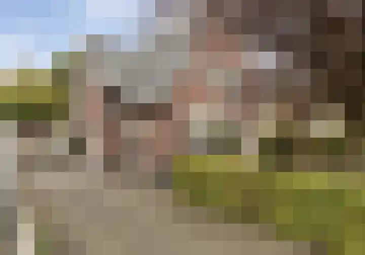 Grutto 10 Nunspeet thumbnail 71