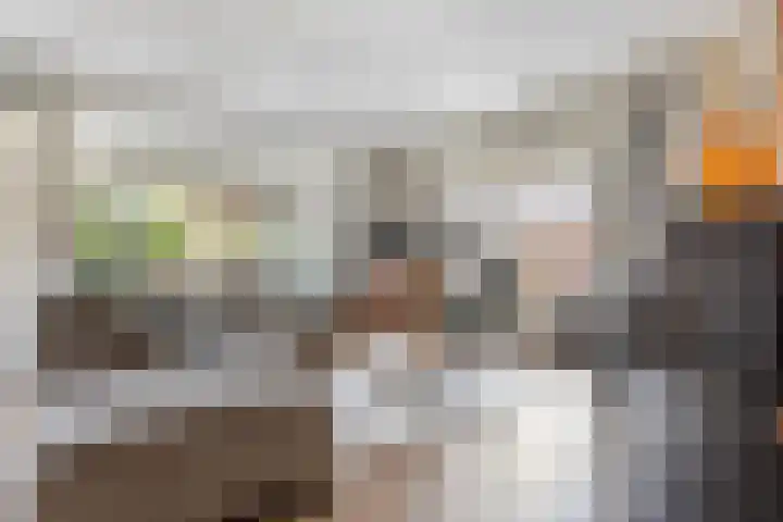 Grutto 10 Nunspeet thumbnail 9