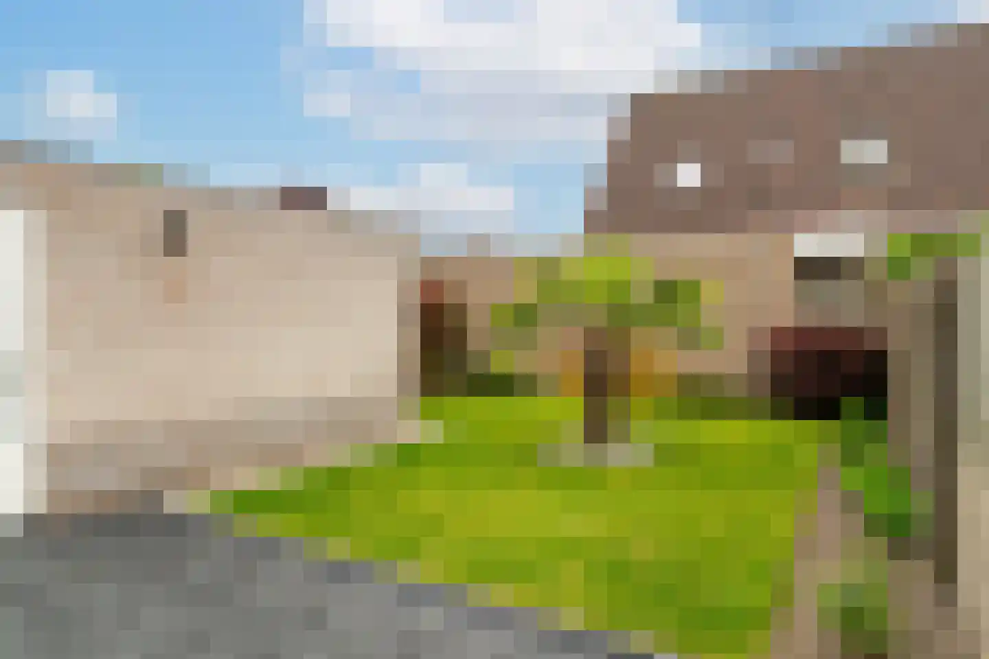 Grutto 10 Sprang-Capelle thumbnail 4
