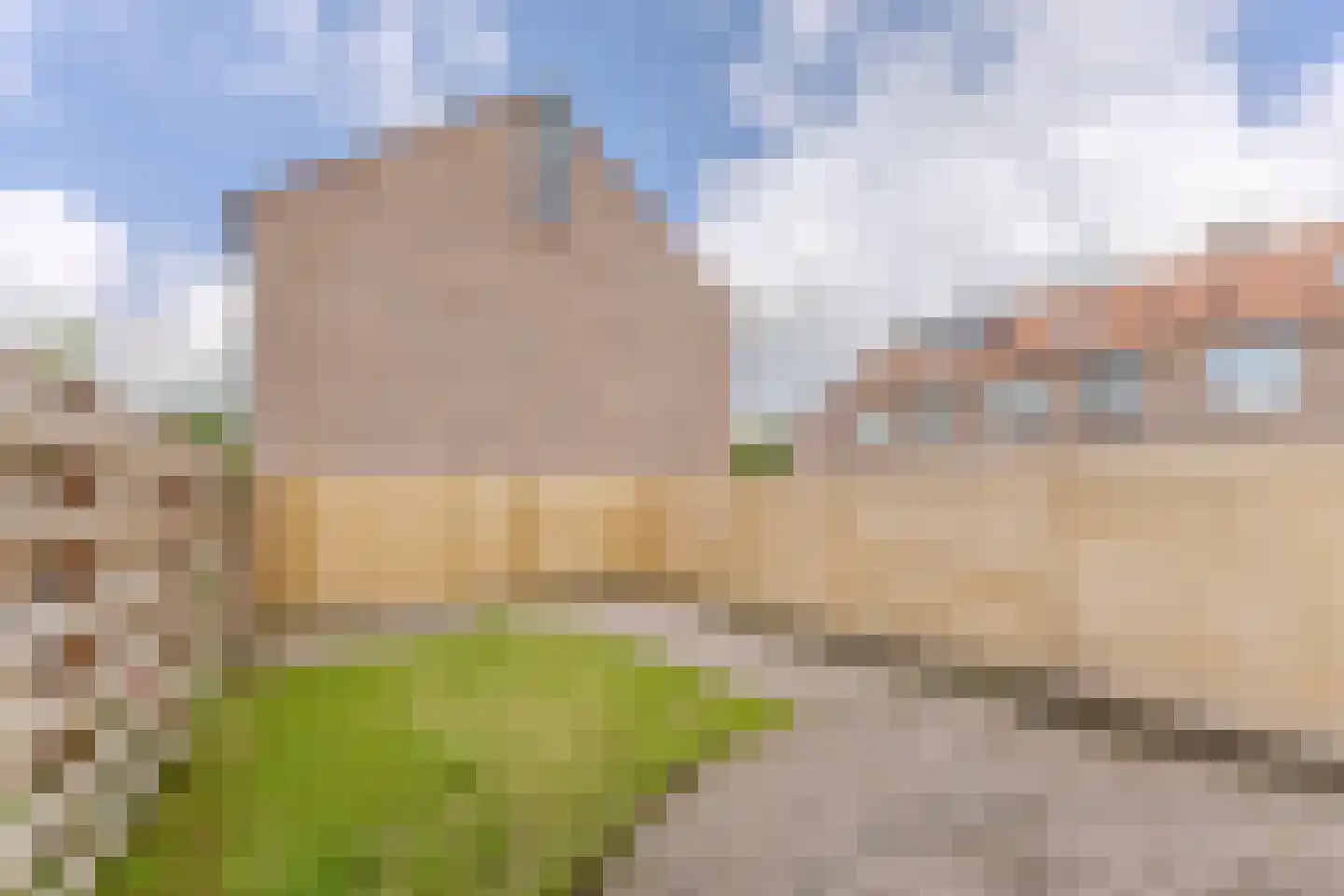 Grutto 101 Hoorn thumbnail 15