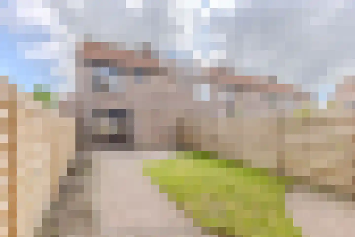 Grutto 101 Hoorn thumbnail 16