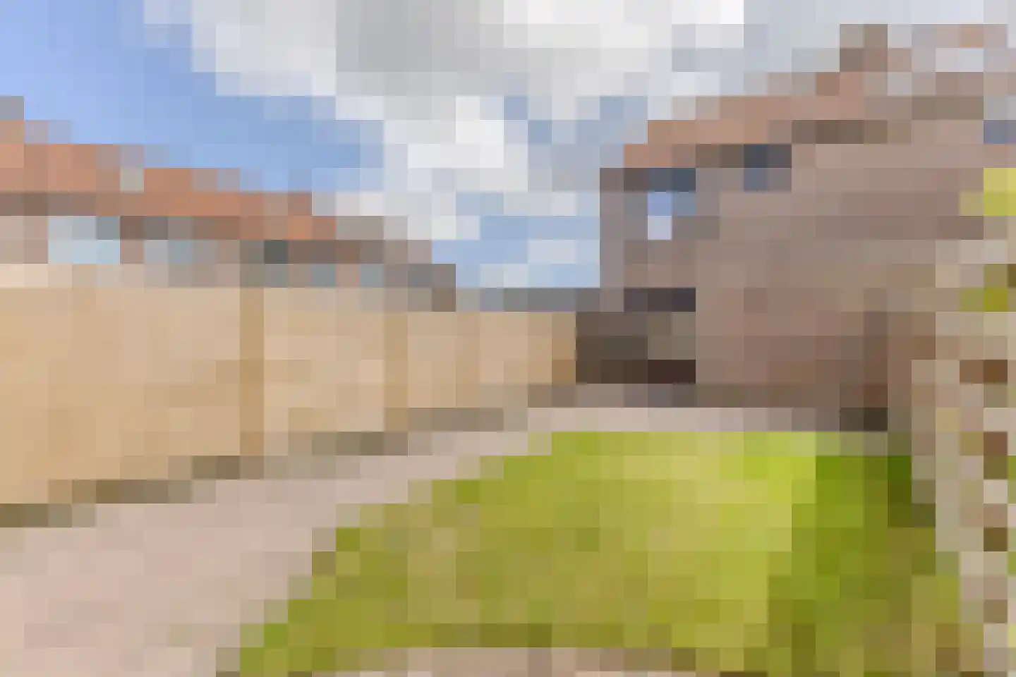 Grutto 101 Hoorn thumbnail 17