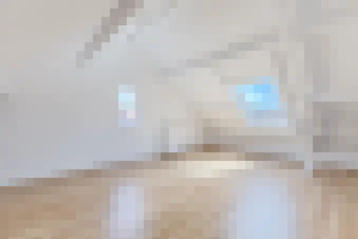 Grutto 101 Hoorn thumbnail 31