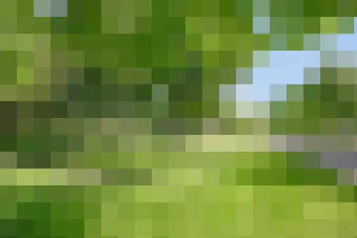 Grutto 104 Hoorn thumbnail 22