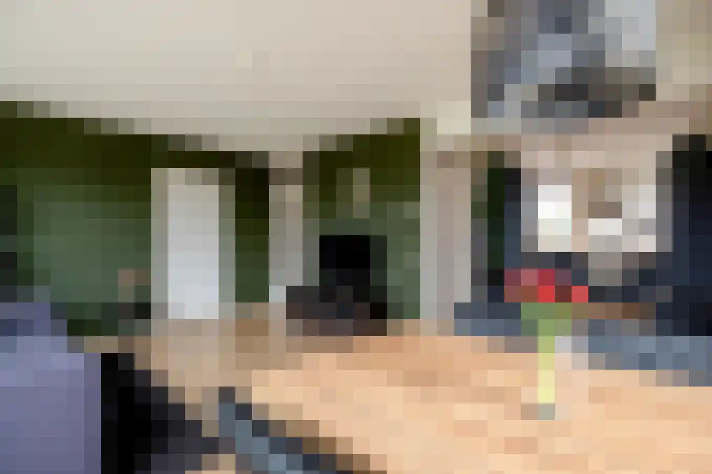 Grutto 11 Grijpskerk thumbnail 11