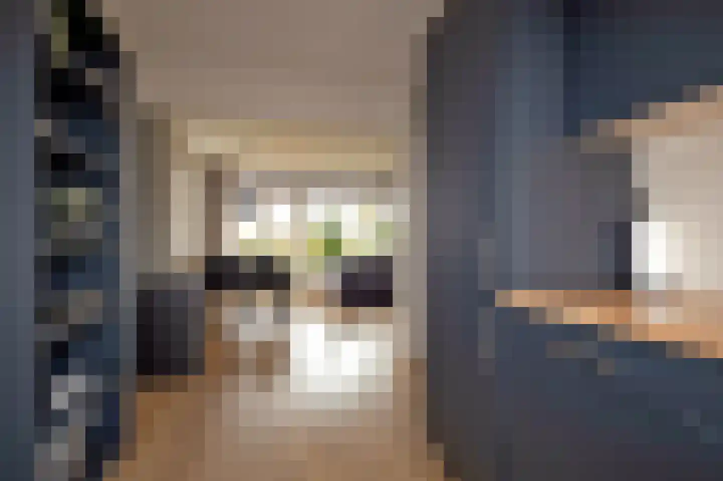 Grutto 11 Grijpskerk thumbnail 12