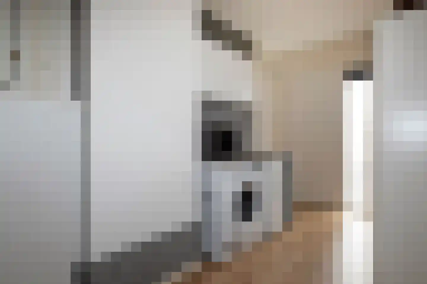 Grutto 11 Grijpskerk thumbnail 18
