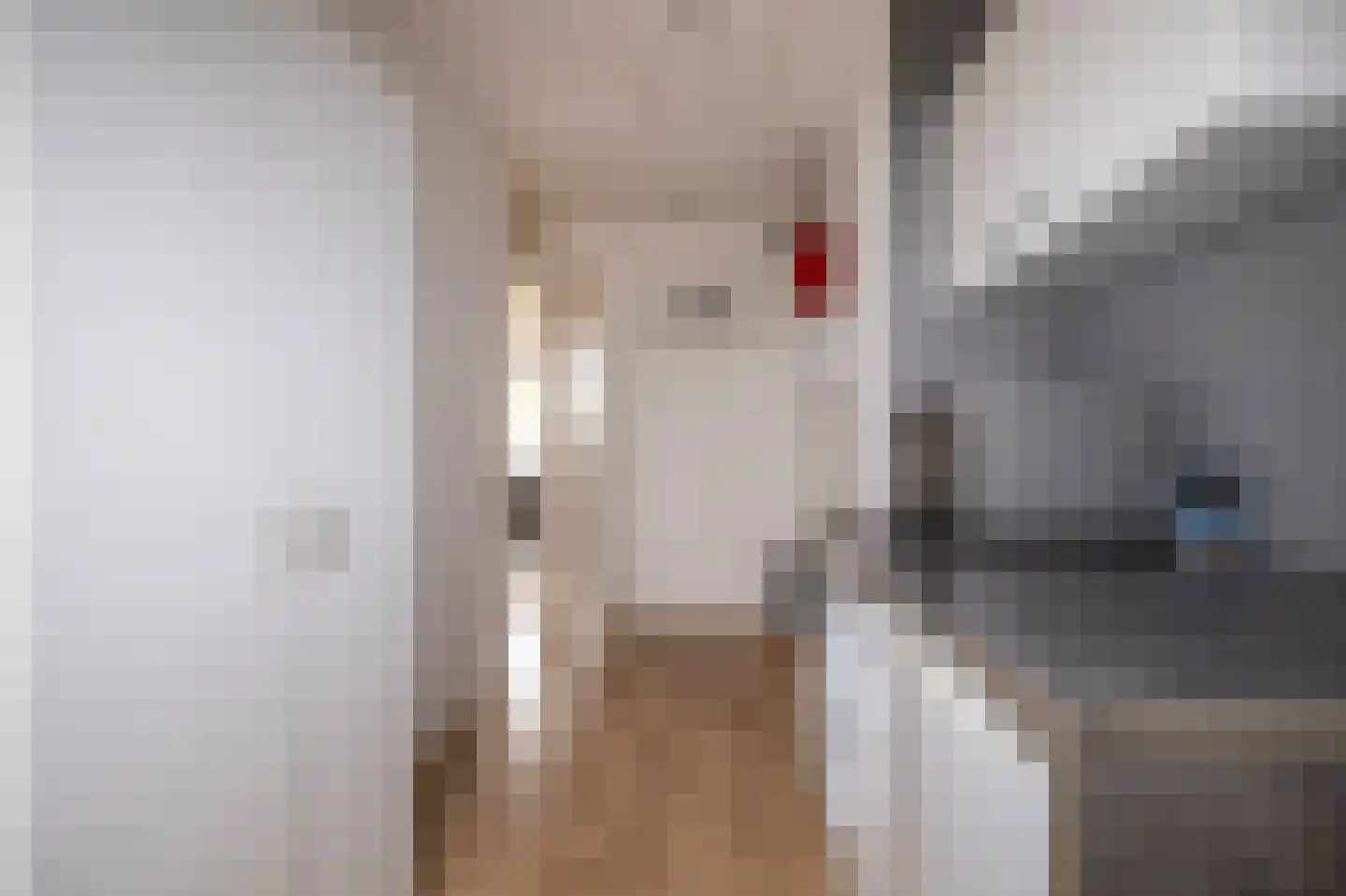 Grutto 11 Grijpskerk thumbnail 19