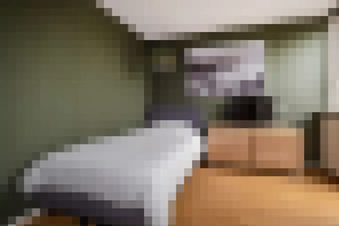 Grutto 11 Grijpskerk thumbnail 25