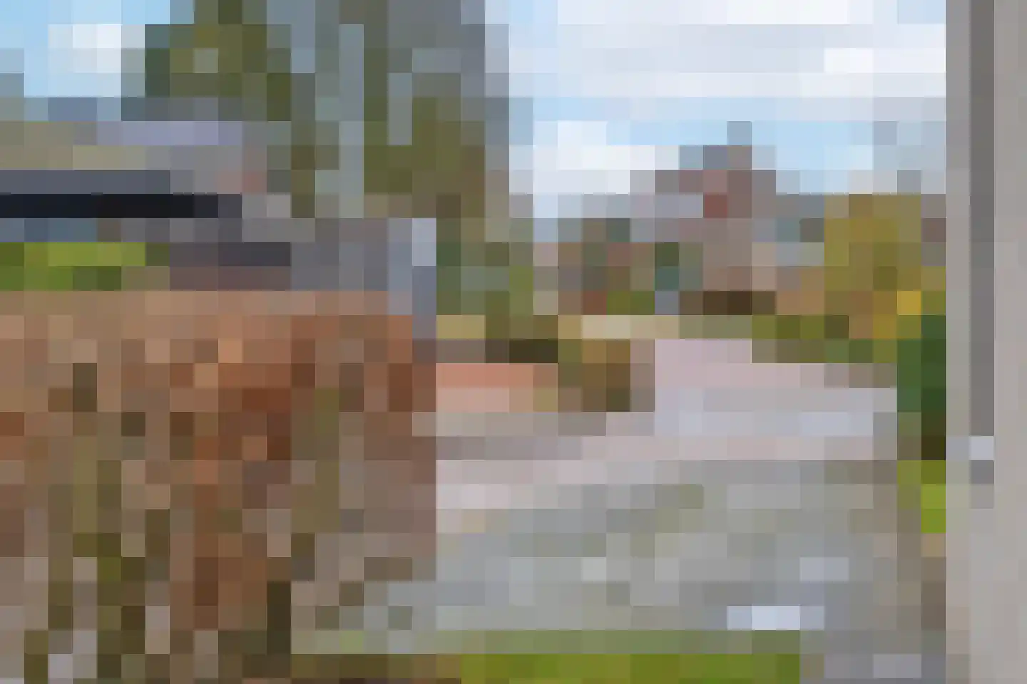 Grutto 11 Grijpskerk thumbnail 35