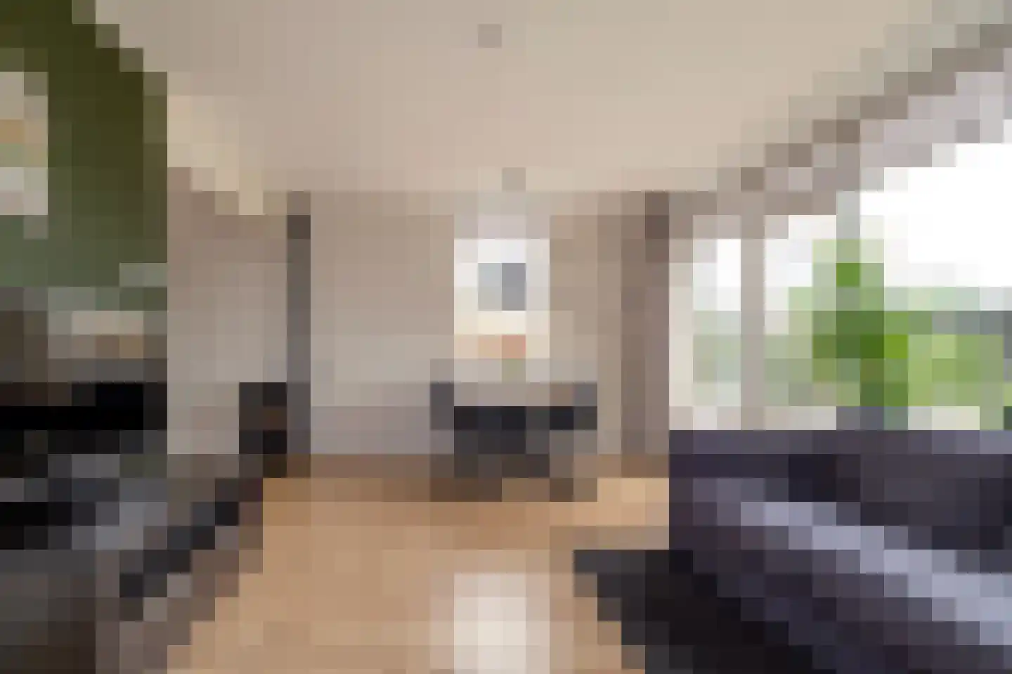 Grutto 11 Grijpskerk thumbnail 6