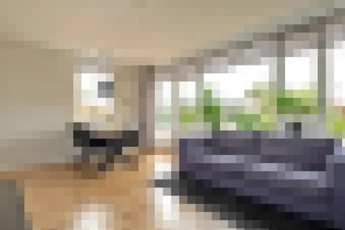 Grutto 11 Grijpskerk thumbnail 8