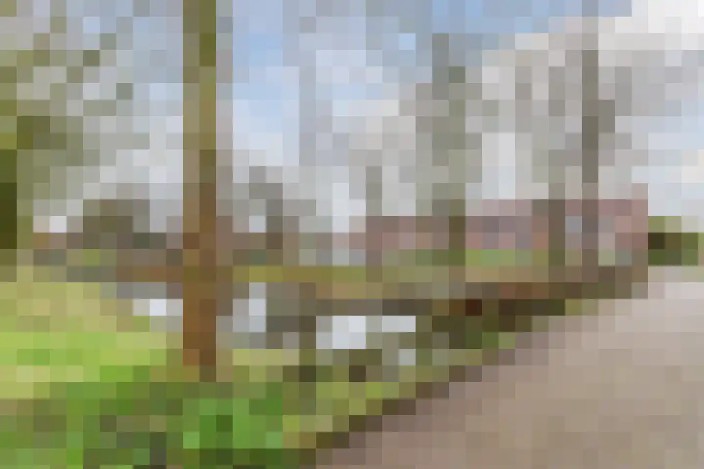 Grutto 11 Hoorn thumbnail 37