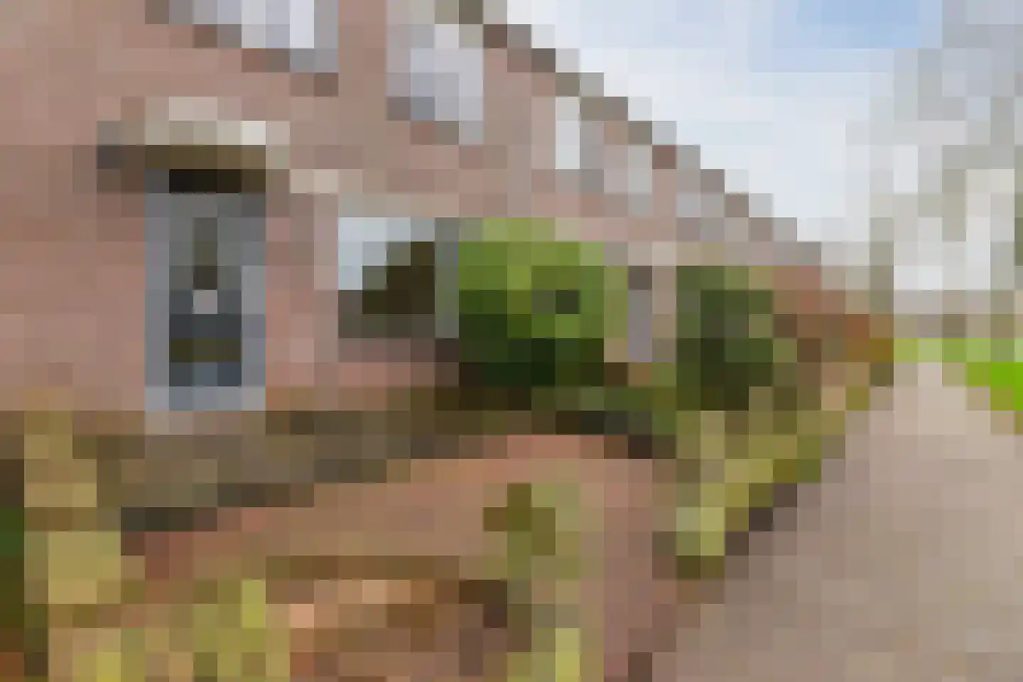 Grutto 11 Hoorn thumbnail 5