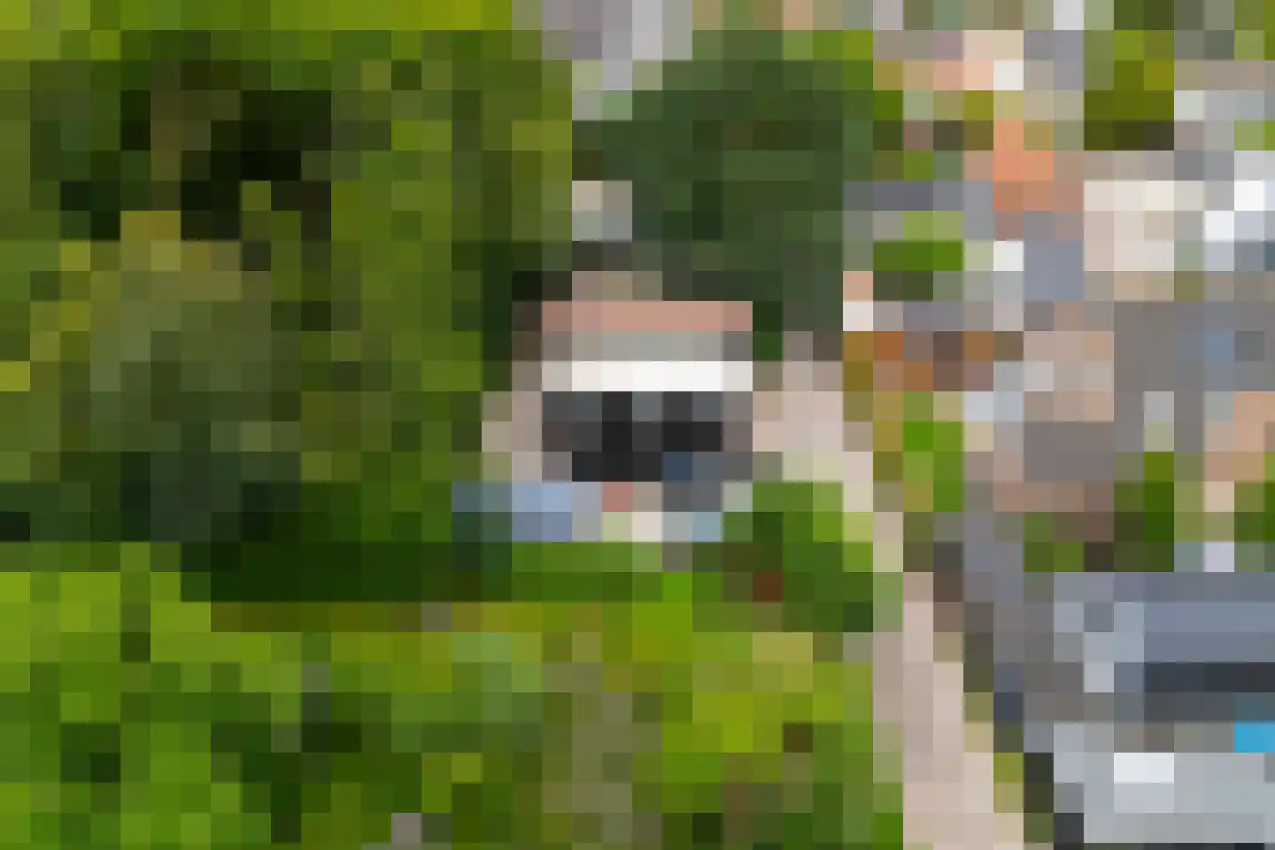 Grutto 12 A Hardinxveld-Giessendam thumbnail 47