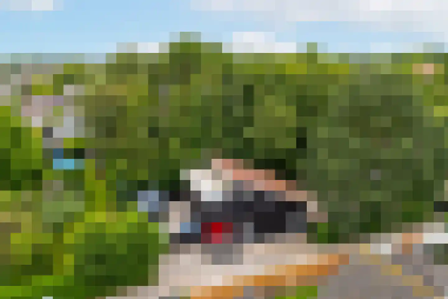 Grutto 12 A Hardinxveld-Giessendam thumbnail 50