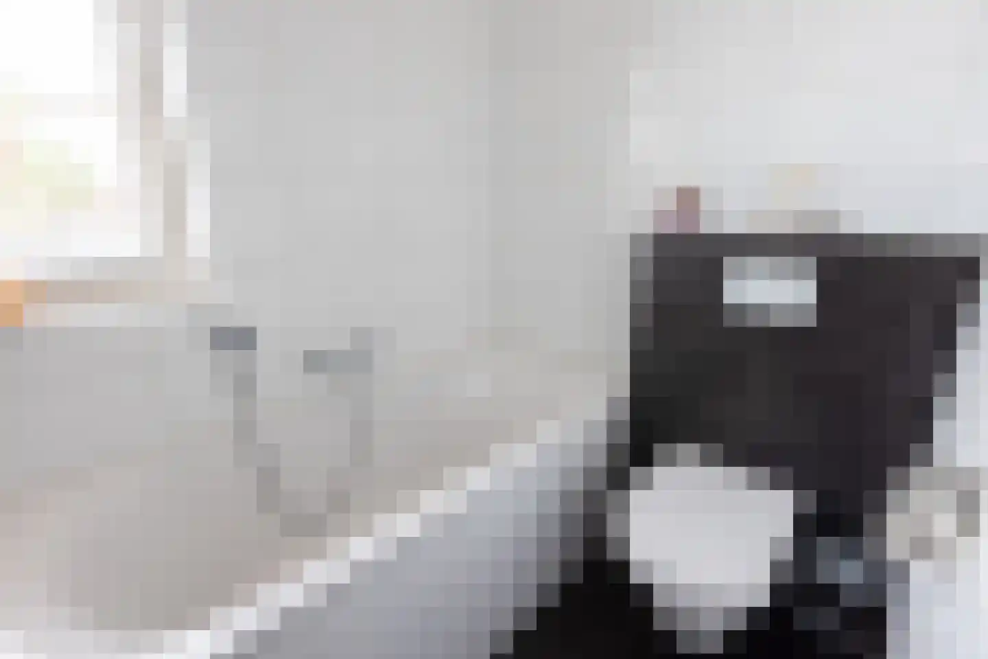 Grutto 12 Beltrum thumbnail 24