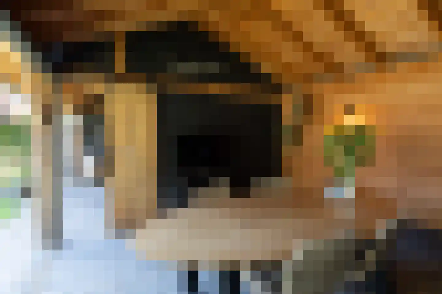 Grutto 12 Beltrum thumbnail 37