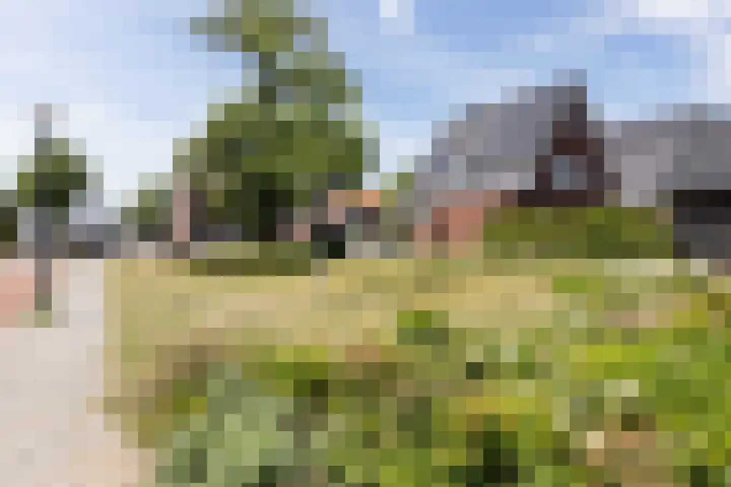 Grutto 12 Beltrum thumbnail 48