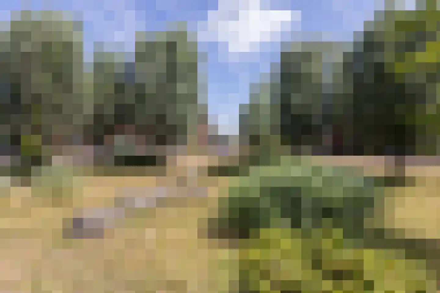 Grutto 12 Beltrum thumbnail 50
