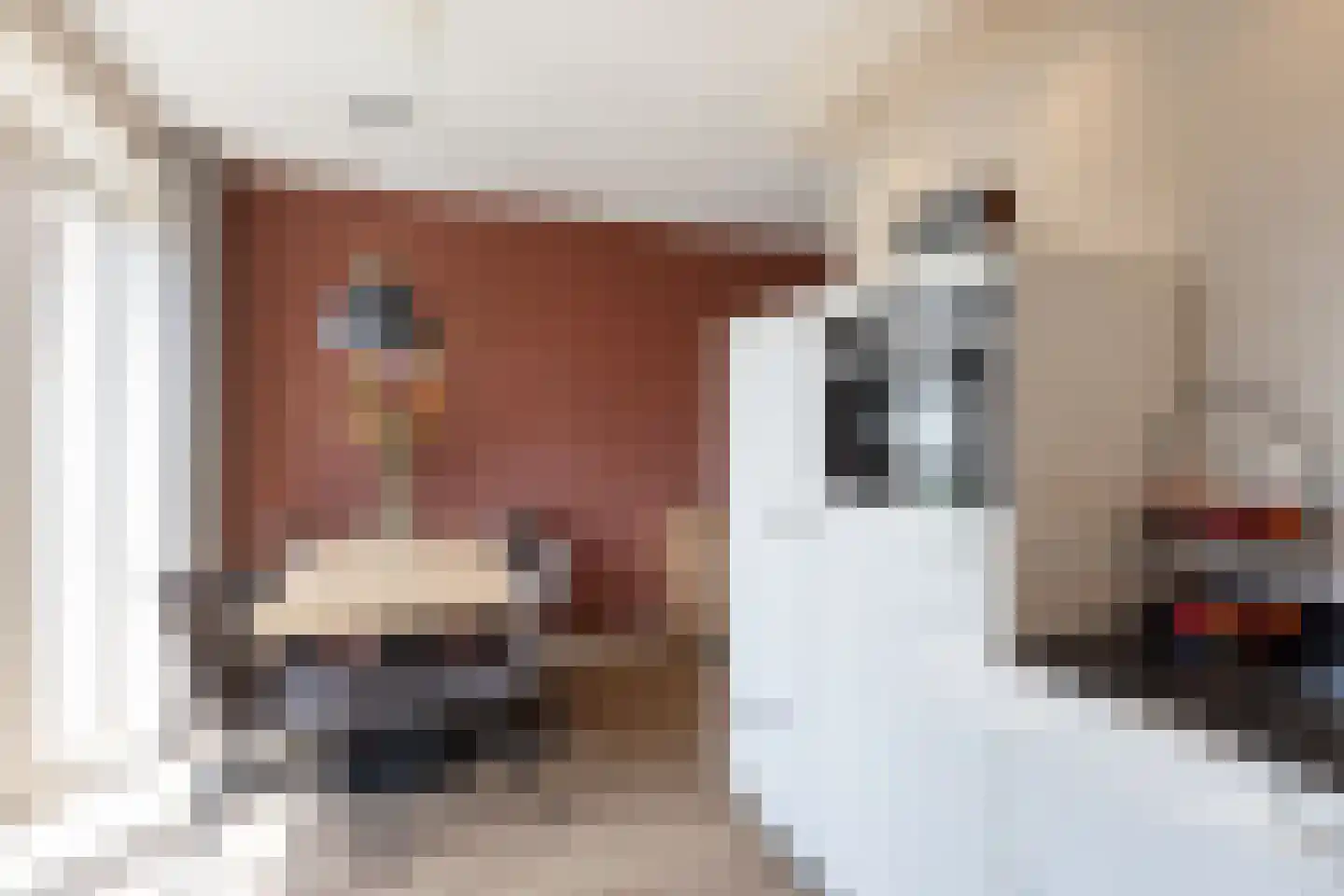 Grutto 12 Beltrum thumbnail 7