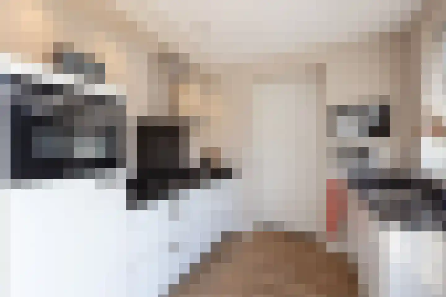 Grutto 12 Beltrum thumbnail 9