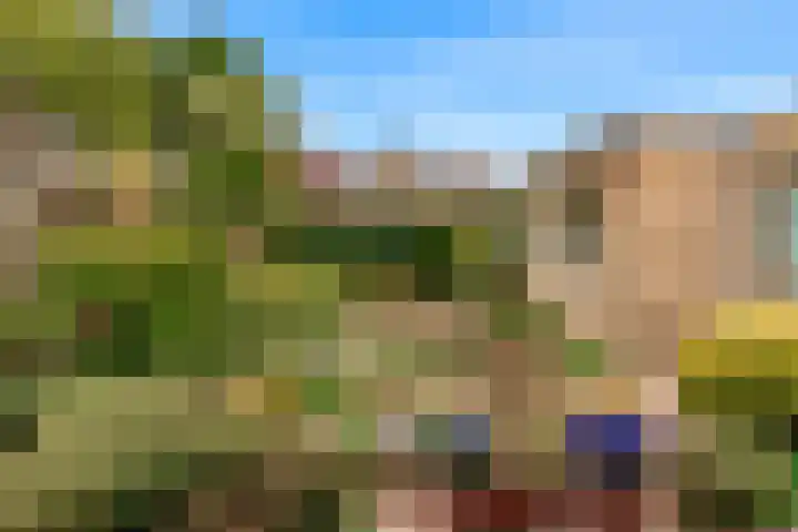 Grutto 12 Castricum thumbnail 30