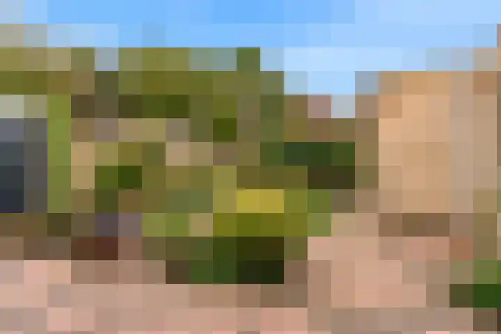 Grutto 12 Castricum thumbnail 31