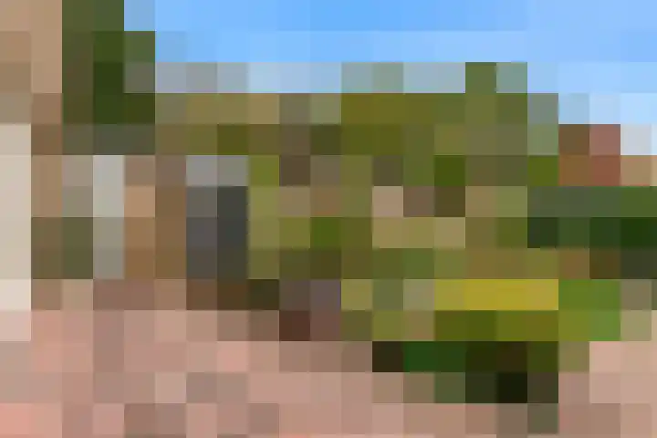 Grutto 12 Castricum thumbnail 32