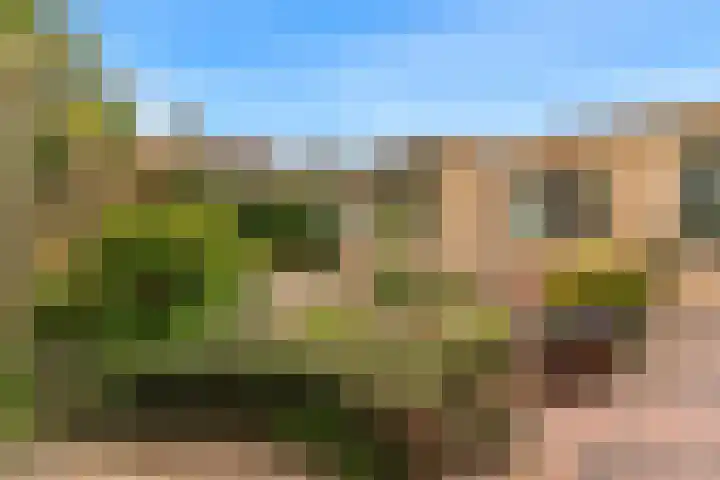 Grutto 12 Castricum thumbnail 33