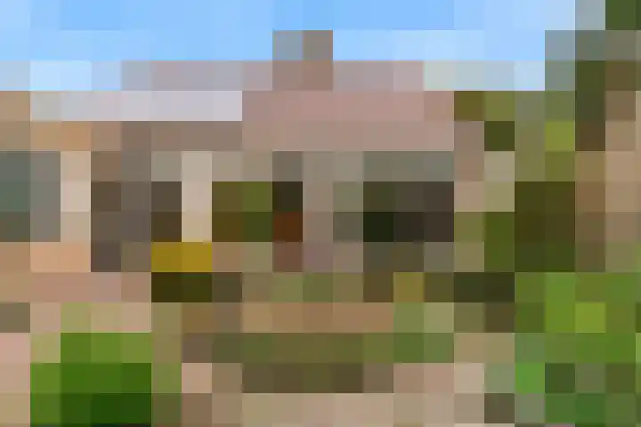 Grutto 12 Castricum thumbnail 34