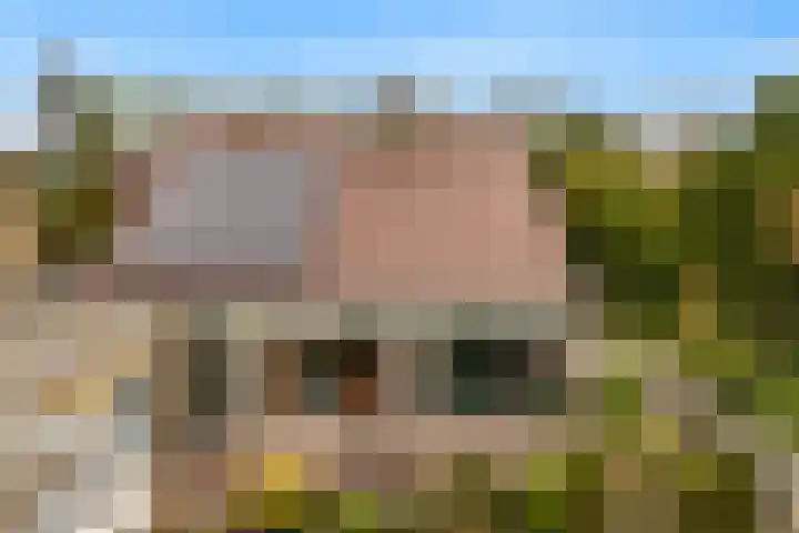 Grutto 12 Castricum thumbnail 35