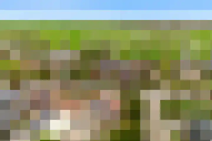 Grutto 12 Castricum thumbnail 36
