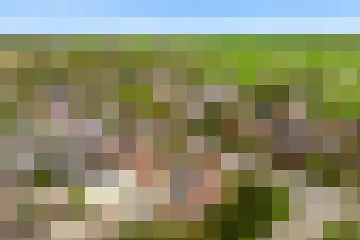 Grutto 12 Castricum thumbnail 37