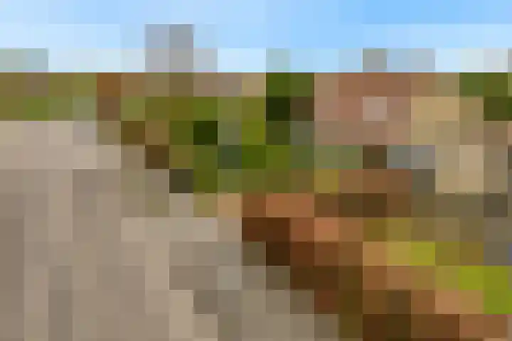 Grutto 12 Castricum thumbnail 38