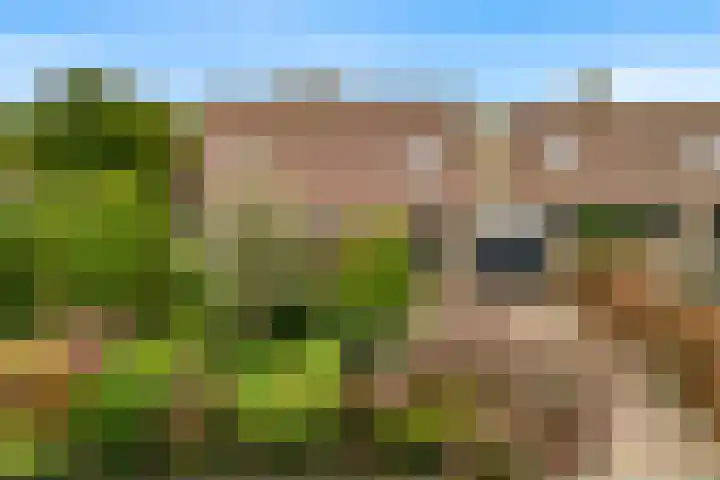 Grutto 12 Castricum thumbnail 39
