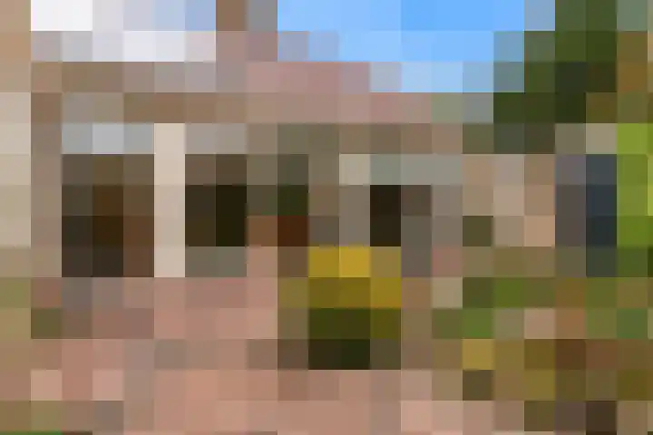 Grutto 12 Castricum thumbnail 4