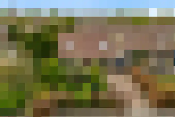 Grutto 12 Castricum thumbnail 40