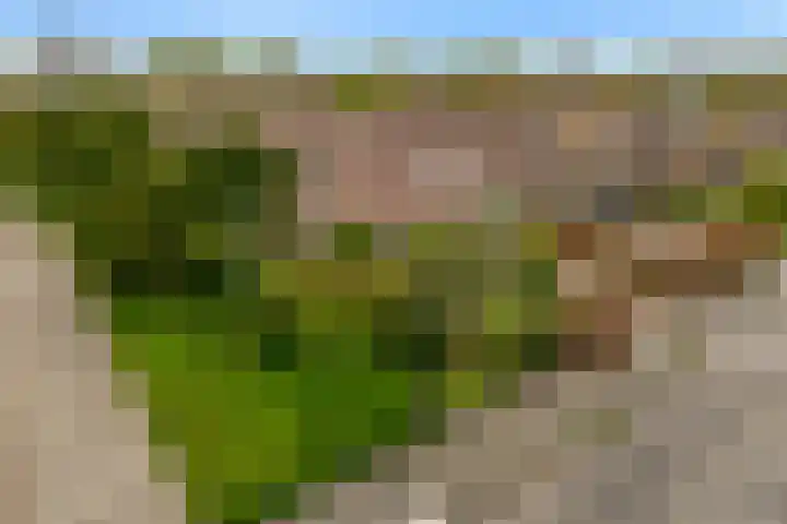 Grutto 12 Castricum thumbnail 41