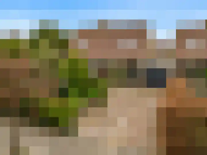 Grutto 12 Castricum thumbnail 45