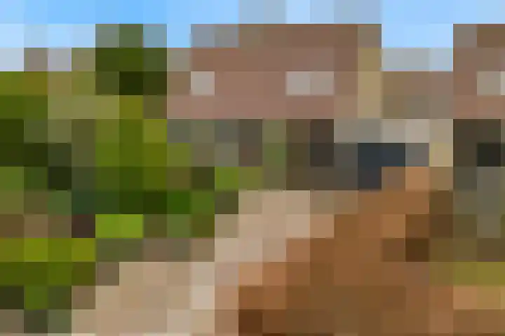 Grutto 12 Castricum thumbnail 5