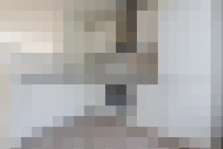 Grutto 12 Hoorn thumbnail 13