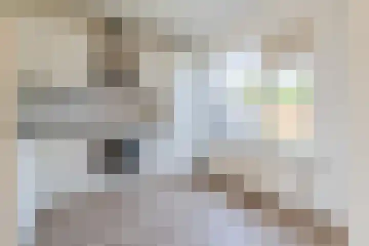 Grutto 12 Hoorn thumbnail 14