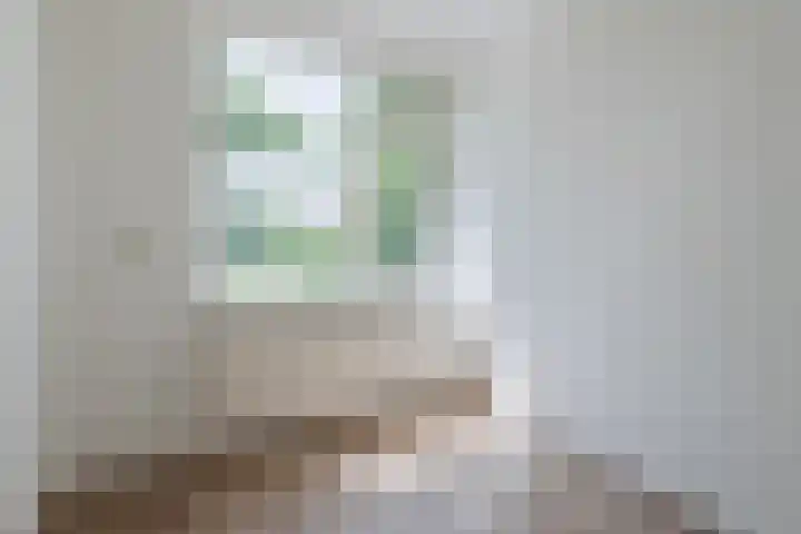 Grutto 12 Hoorn thumbnail 20