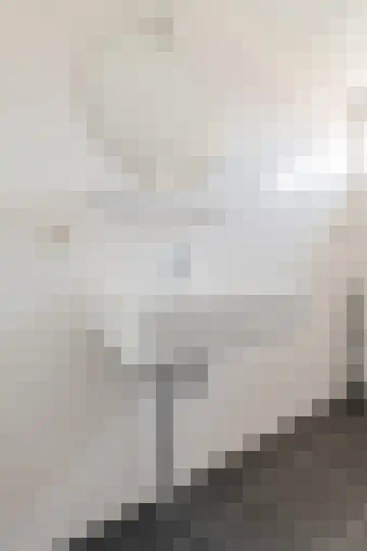 Grutto 12 Hoorn thumbnail 30