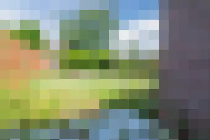 Grutto 12 Hoorn thumbnail 40