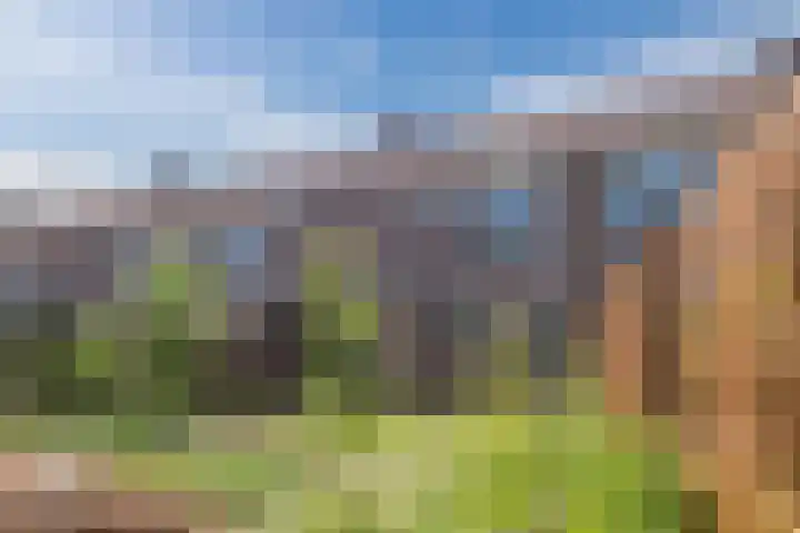Grutto 12 Hoorn thumbnail 41