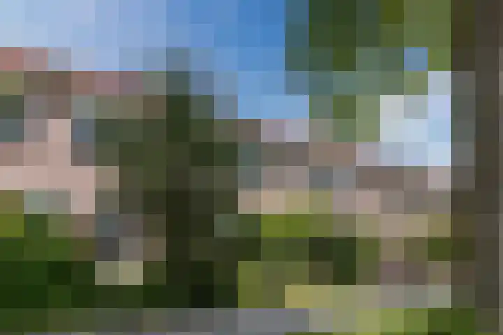 Grutto 12 Hoorn thumbnail 5