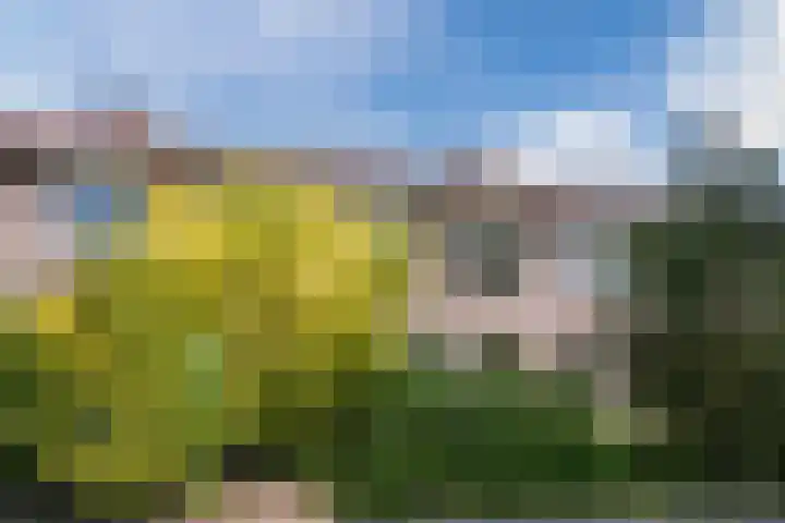 Grutto 12 Hoorn thumbnail 6