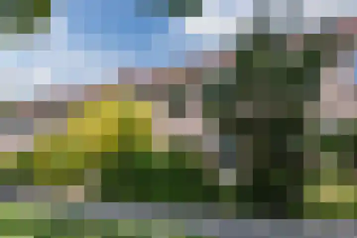 Grutto 12 Hoorn thumbnail 7